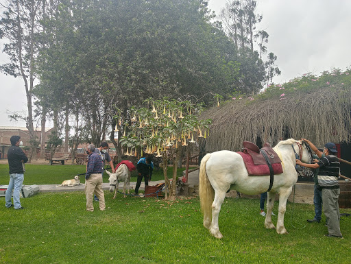 Instituto INTAP