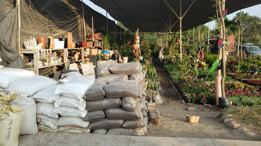 Vivero Garden Center