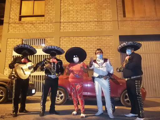 Mariachis el gallo de oro