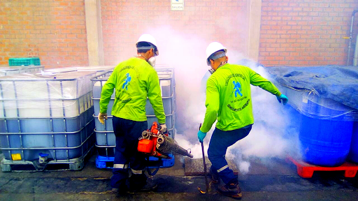 FUMIGACIONES PEST CONTROL SUR