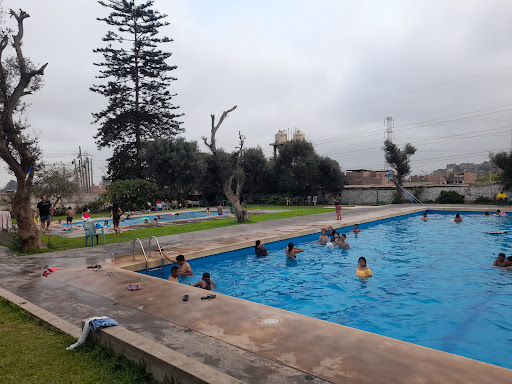 Piscina El Olivar