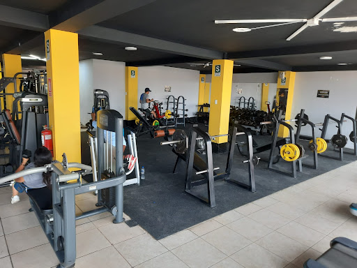 Seven Gym