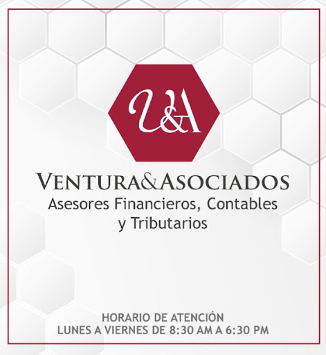 Ventura y Asociados Asesores SAC