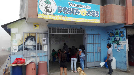 Hospital Veterinario Oasis del Sur