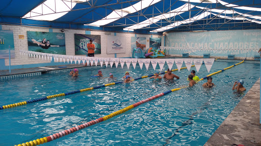 Piscina Harumi - Pachacamac Nadadores