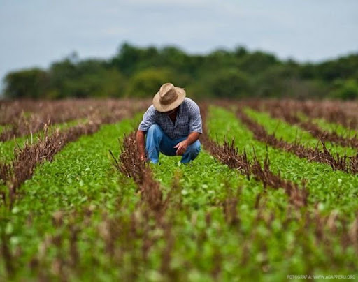 Humus Pachacamac - Abonos Organicos Peru