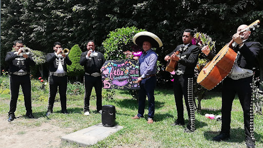 Mariachis Serenatas Mi Mariachi